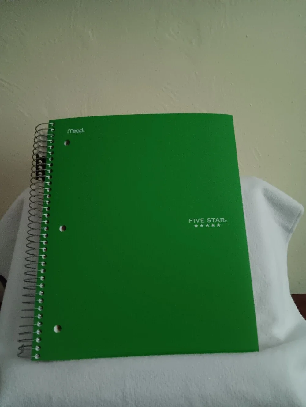 Five-Star Green Notebook 5 Subject